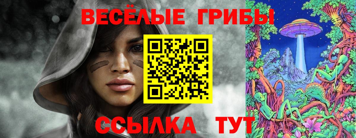 Псилоцибиновые грибы Psilocybe Улан-Удэ